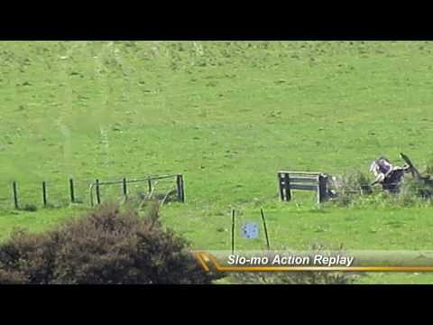 1,075 yard shot - 7mm SAUM