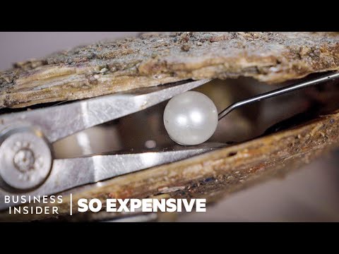 , title : 'Why South Sea Pearls Are So Expensive | So Expensive | Business Insider'