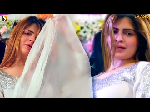 Jo Pallu Gira Diya, Hani Sheikh Latest Dance Performance 2023