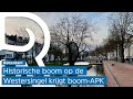 'Bomen-APK' voor stokoude Rotterdamse plataan