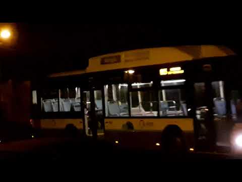 STCP 3228, 3237 - 805