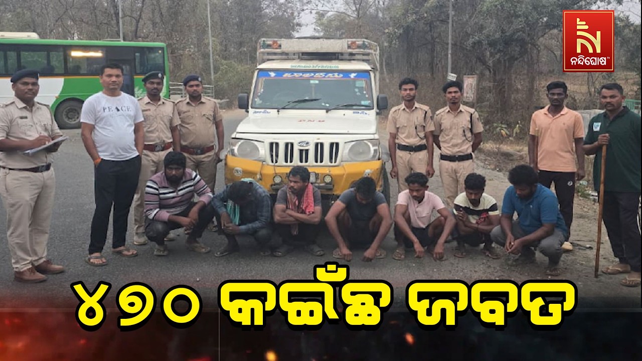ମାଲକାନଗିରି ଜିଲ୍ଲା ସୀମାନ୍ତ ମୋଟୁଠାରେ ୪୭୦ କଇଁଛ ଜବତ