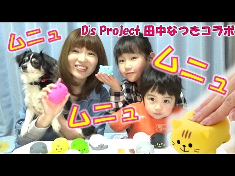 ムニュムニュドレミファキャットでムニュムニュ遊んでみた♪ 【毎日19時！立石学園】