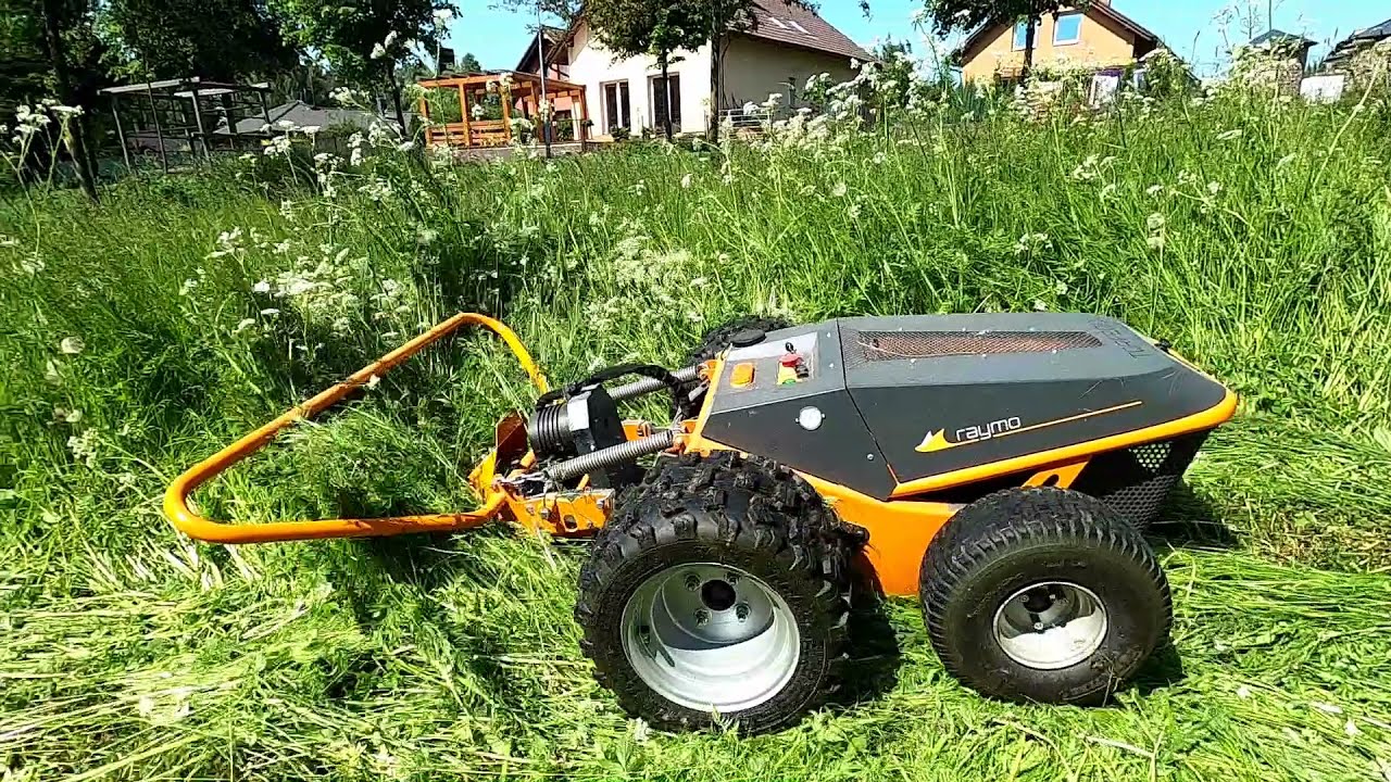 Raymo S46 FLORIS 117 cm tête de coupe peignée