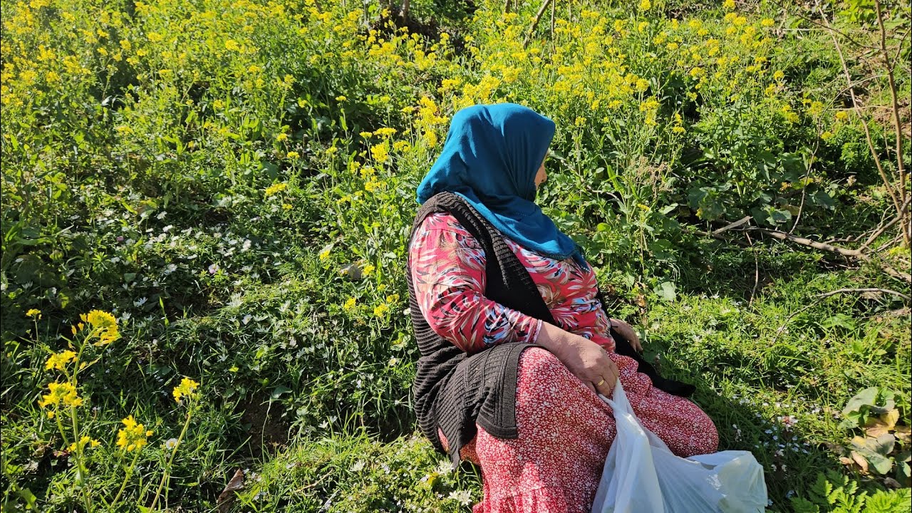 ‼️DAĞ BAYIR BELGESEL TADINDA NÜNÜK OTUNUN FAYDALARI NEDİR ‼️