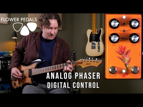 Flower Pedals - Castilleja
