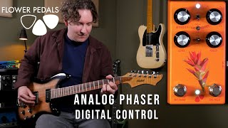 Video thumbnail for Flower Pedals - Castilleja Analog Phaser with Digital Control by AndyDemos