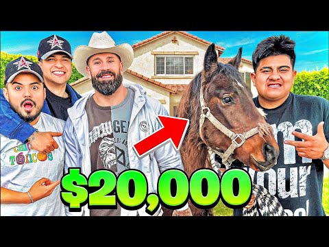 We Bought Bradley Martyn a HORSE! (SURPRISE OF THE YEAR) 