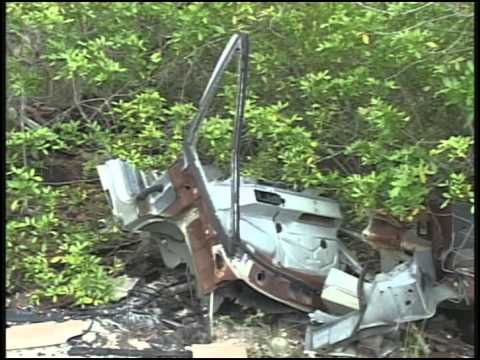 Waterways Episode 210: White-crowned Pigeons, Trash in the Everglades and YCC