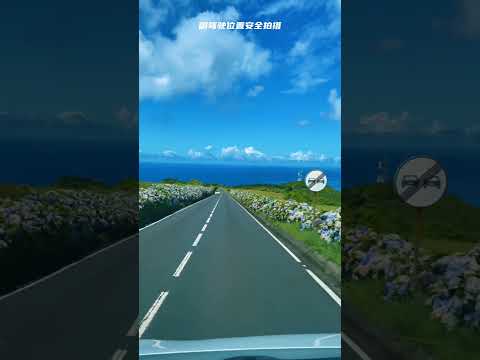 beautiful nature2 #music #guitar #rock #instrumental