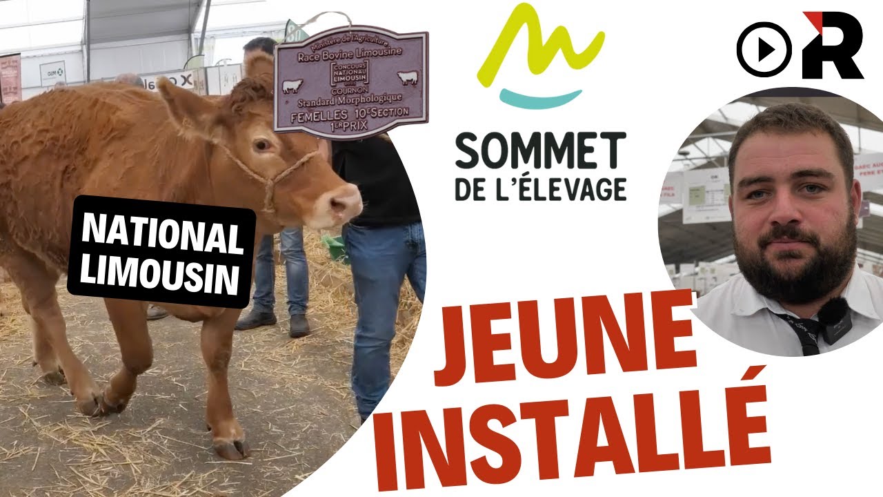 Un jeune installé au National Limousin