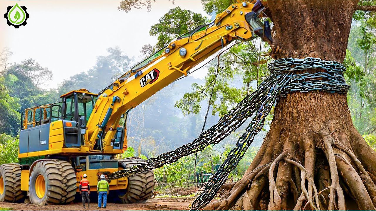 Extreme Dangerous Fastest Big Chainsaw Cutting Tree Machines | Monster Stump Removal Excavator #95