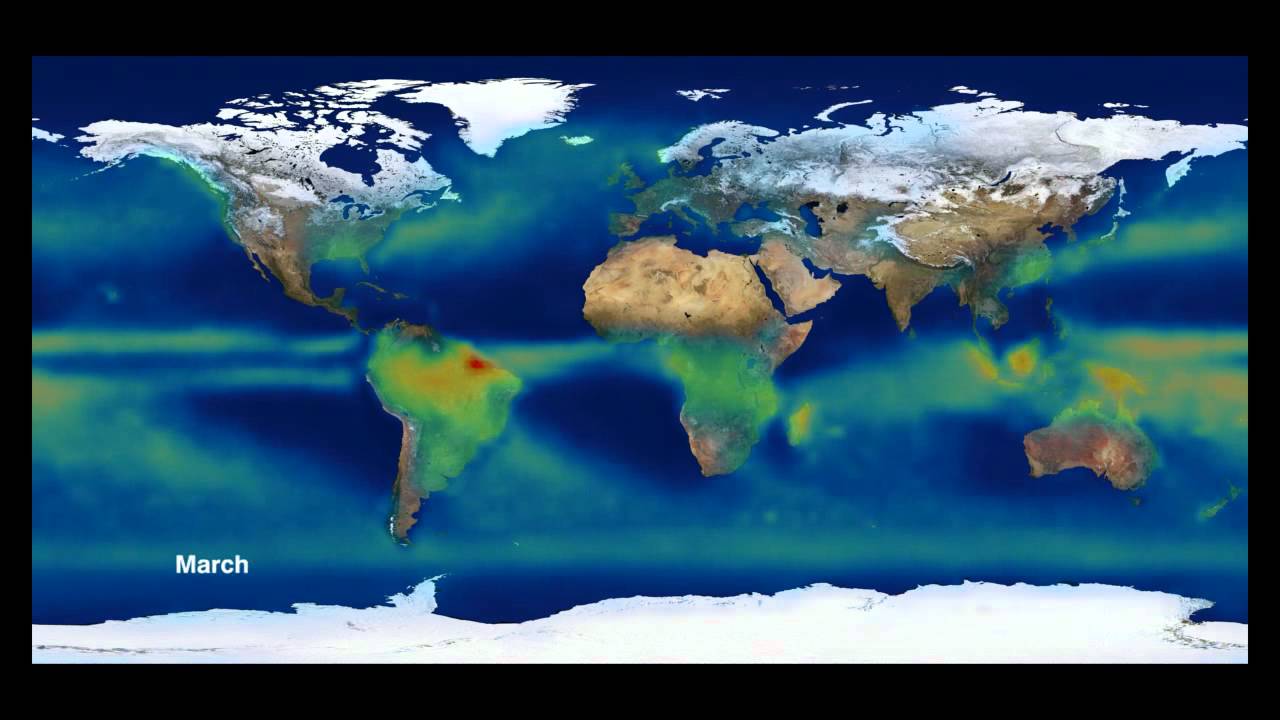 Global Precipitation Cycles