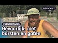 Erwins skatepark in Zwolle dreigt te  verloederen | RTV Oost