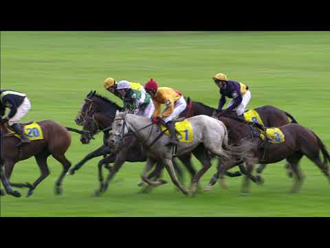 DS VELKA PARDUBICKA 2017 - atmosféra dostihů s celým záznamem