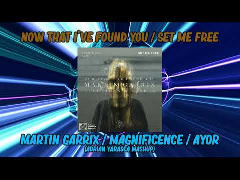 Martin Garrix / Magnificence / AYOR - Now That I've Found You / Set Me Free (Adrian Yarasca Mashup)
