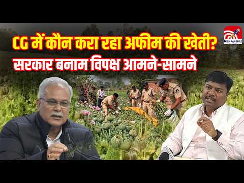 Chhattisgarh Opium Farming : CG में कौन करा रहा अफीम की खेती? सरकार बनाम विपक्ष आमने-सामने