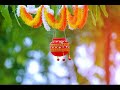 Chandi Ki Daal Par Sone Ka Mor Whatsapp Status Janmashtami Whatsapp Status Parth 2413
