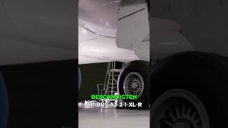 Teure Reparatur: Airbus nach Vogelschlag lahmgelegt!