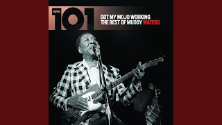 Walkin&#39; Thru the Park