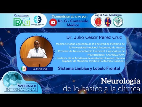 Sistema Limbico y Lóbulo Frontal - Dr. Julio Cesar Perez Cruz