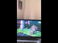Lady And The Tramp 2 A World Without Fence S