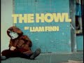 Liam Finn The Howl Official Video