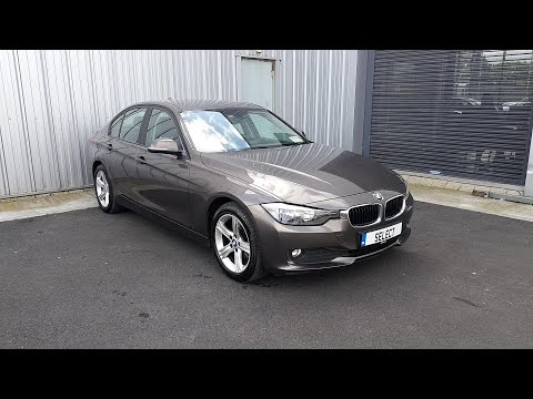 131D1065 - 2013 BMW 3 Series 316 ES 14,995