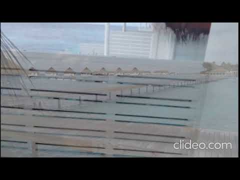 Betelgeuse Travel Maldives Series: Maldives Tour: Last few days