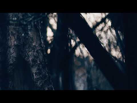 Sławek Jaskułke - Empty Bay [©Sea Label 2019] 432 Hz recording