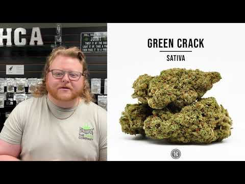 Green Crack Strain Review: The ULTIMATE Daytime Strain?