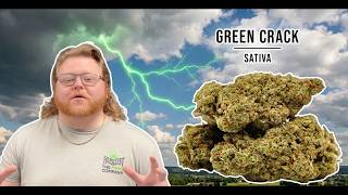 Green Crack Strain Review: The ULTIMATE Daytime Strain