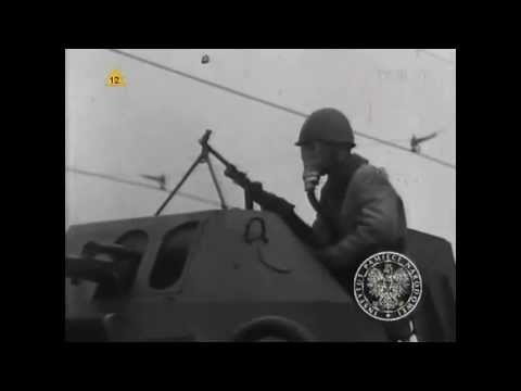 Arka Noego - Centrala (Brygada Kryzys)