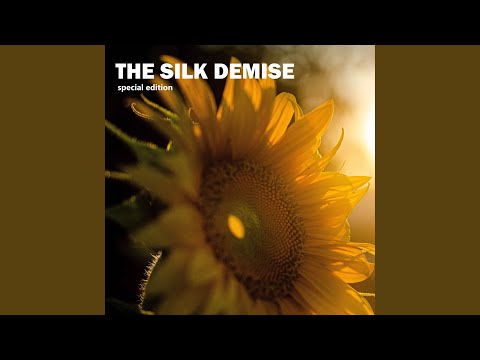 Morealis (Remastered)