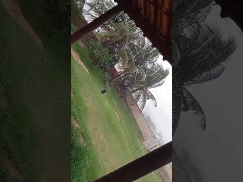 Chuva em Porteiras Ceará CARIRI hoje 08/05/2026