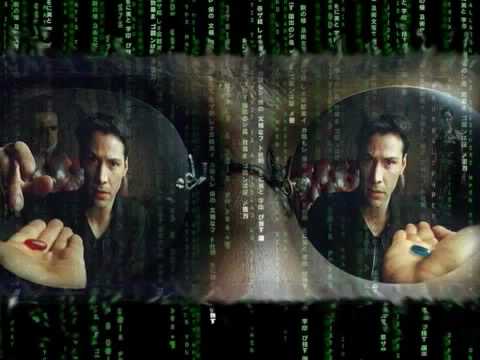 Guantana-MOHR - Wehret den Anfängen