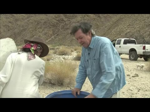 一對夫妻因政治而分道揚鑣,卻因救人而團結一致 (A couple divided over politics, but united in saving lives)