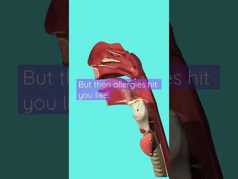 Guess The Spine Injury And Procedure Challenge