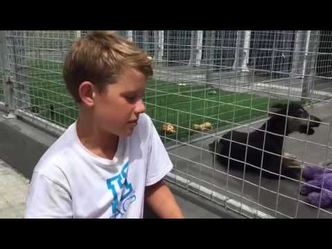 Twelve-year-old boy sacrifices his birthday money to save a mange puppy