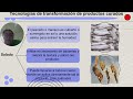 Industrialización De Pescados Y Mariscos Tecnologías De Altas Y Bajas Temperaturas IS