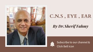 Dr. Sherif Fahmy - C.N.S , Eye , Ear