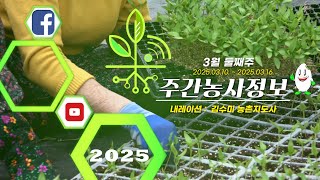 ✨[ 주간농사정보 ] 3월 2째주 (2025. 03. 10. ~ 03. 16.)