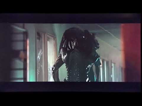 Predalien screen time  Alien vs  Predator  Requiem