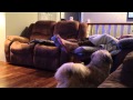 "Socks off!" 