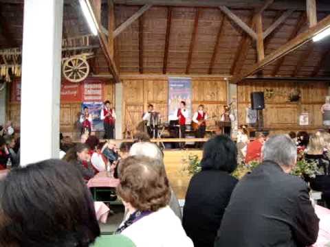 Die jungen fidelen Lavanttaler   Ich liebe mein Mädchen