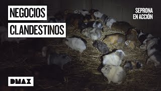 Thumbnail del capítulo