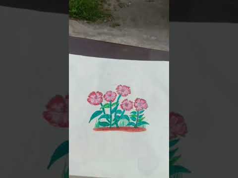 Flowers🦋🌺💐🌼