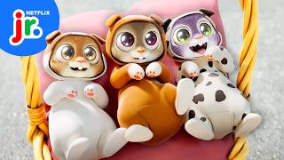 Squirrels Need a Babysitter! 🍼🐿️ Dog Days Out | Netflix Jr