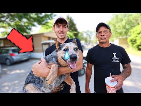 WE FOUND A PUPPY IN ABANDONED TRAILER PARK !