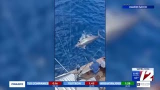 Charter boat hauls in 1,260-pound blue marlin believed to be East Coast’s largest catch
